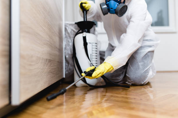 Best Wasp Removal Services  in Chanhassen, MN