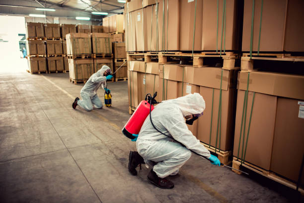 Best Wildlife Control Services  in Chanhassen, MN