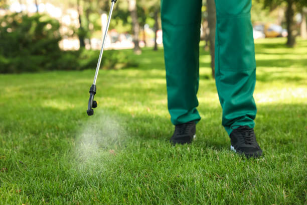 Best Pest Removal Services  in Chanhassen, MN