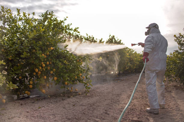 Best Flea Control Services  in Chanhassen, MN