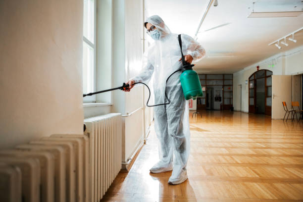 Best Rat Extermination Near Me  in Chanhassen, MN
