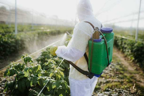 Trusted Chanhassen, MN Pest Control Experts